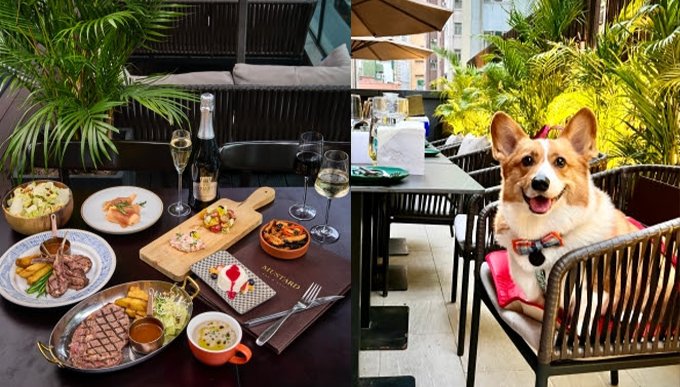 放假帶毛孩去玩！K11 Musea全新Pets Garden、山頂廣場寵物工作坊＋港島區餐廳推介
