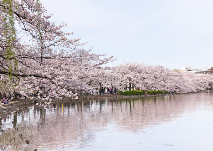日本東京熱門景點2024｜17個東京必去景點+東京近郊一日遊懶人包